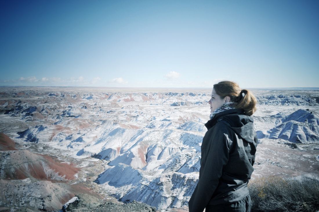 Manuelle. Petrified forest