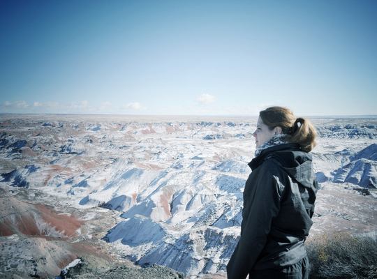 Petrified Forest National Park en Arizona
