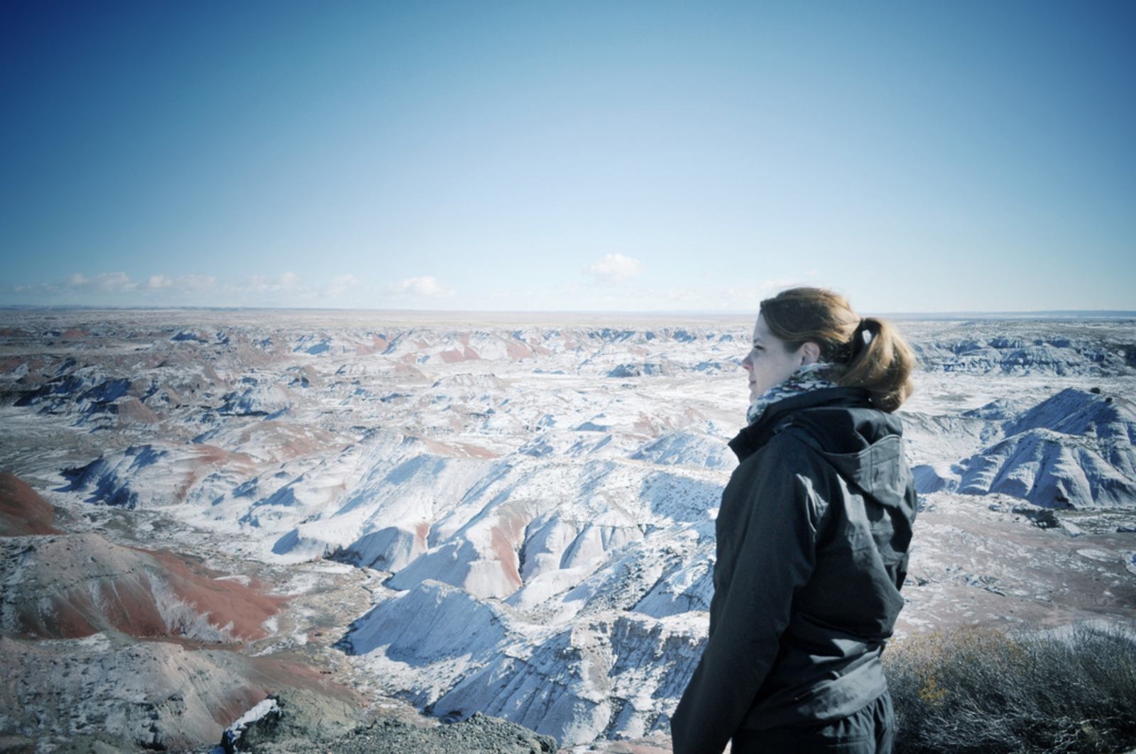 Manuelle. Petrified forest