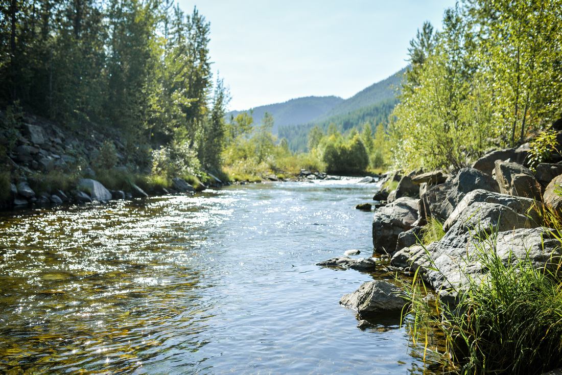 Coeur d'Alene River, Idaho