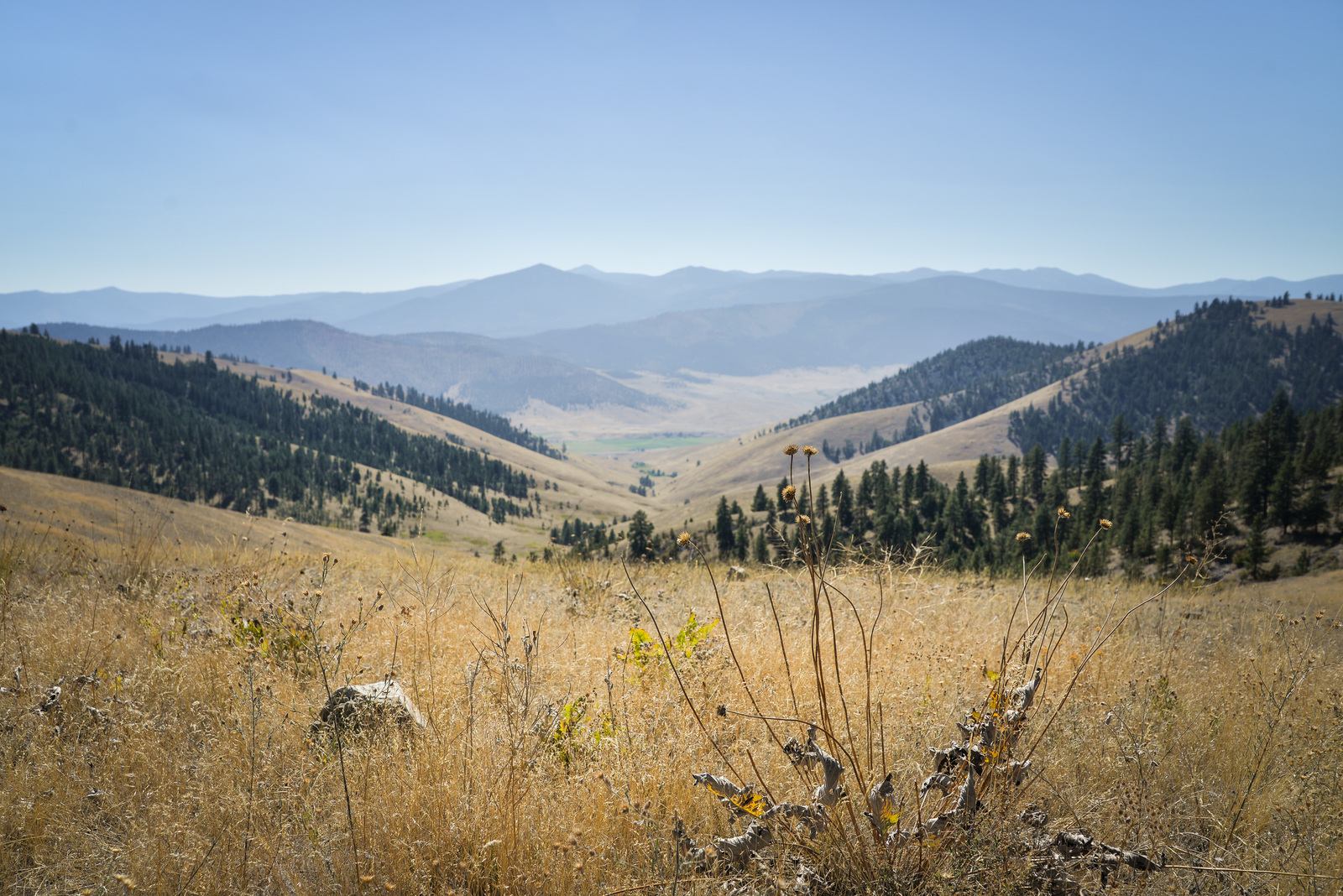 A l'intérieur du Parc des Bisons