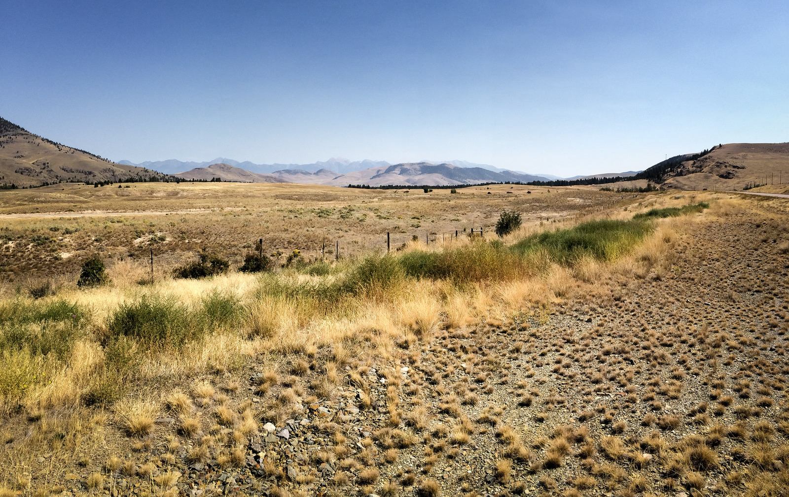 En arrivant au Parc des Bisons