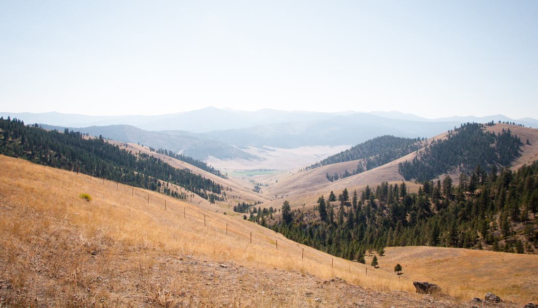 Paysages du National Bison Range