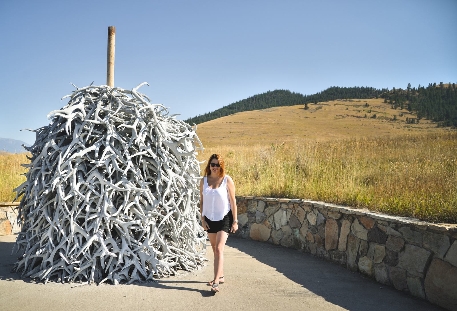 Montagne de bois à l'entrée du parc