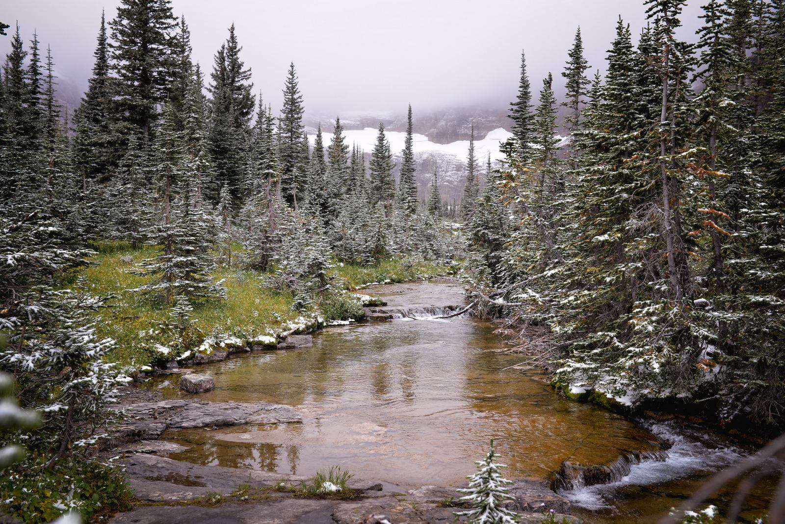Petite rivière sur le Iceberg Lake Trail