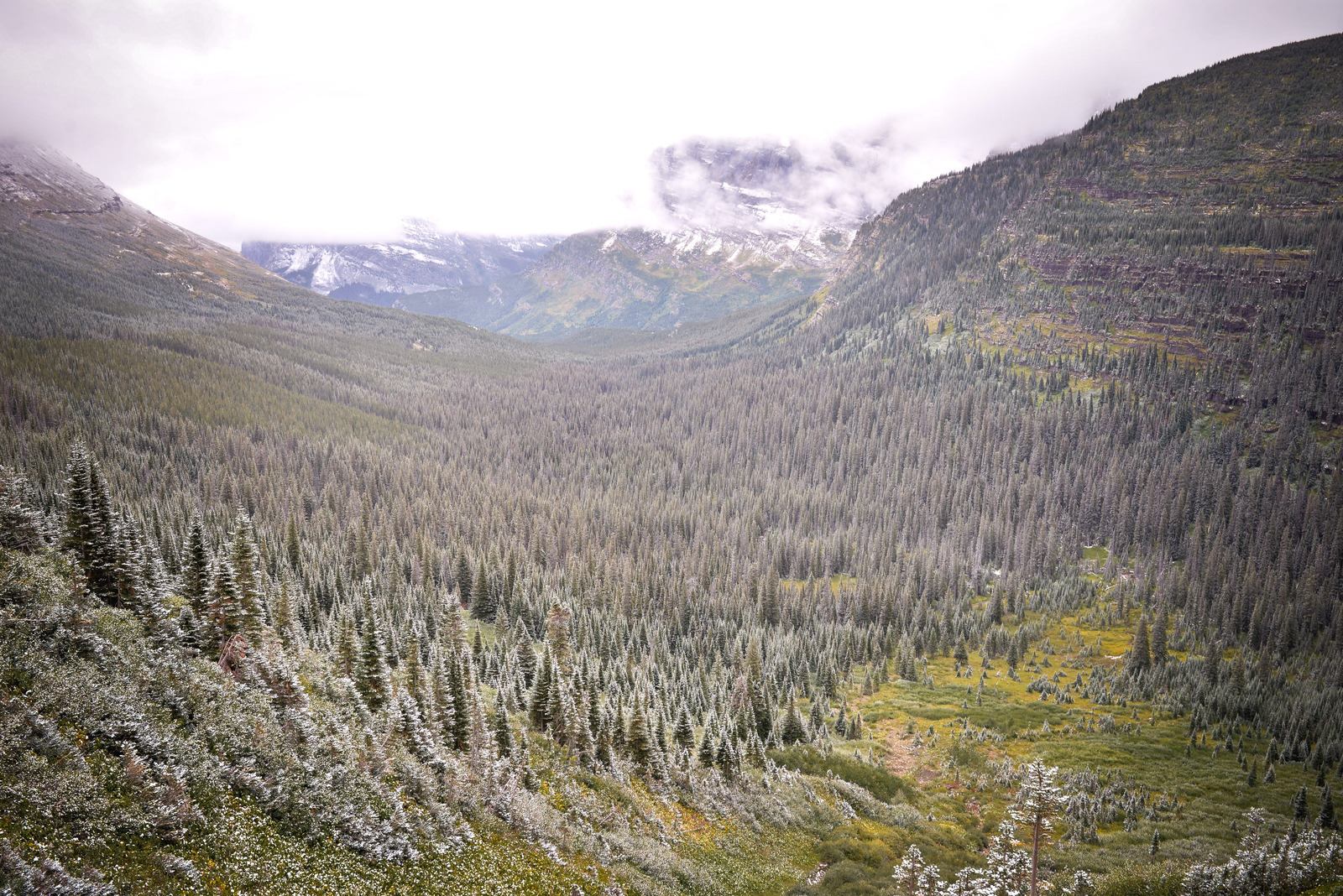 Panoramique sur la vallée de l'Iceberg Lake Trail Panoramique sur la vallée de l'Iceberg Lake Trail