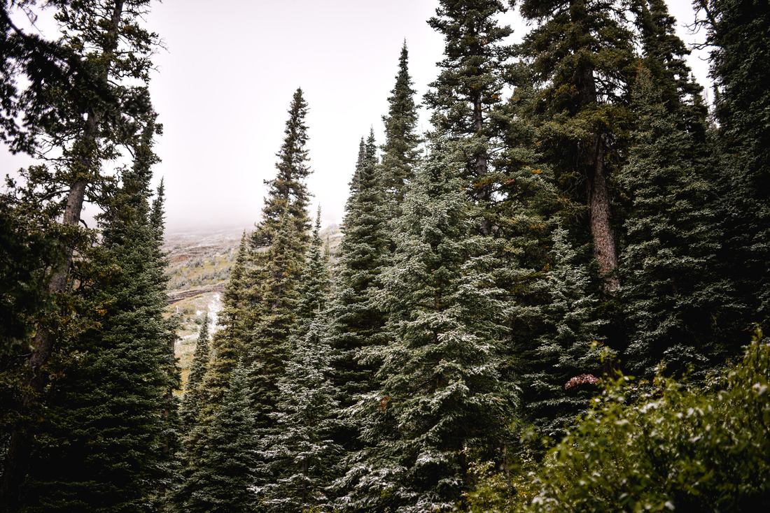Foret de l'Iceberg Lake Trail