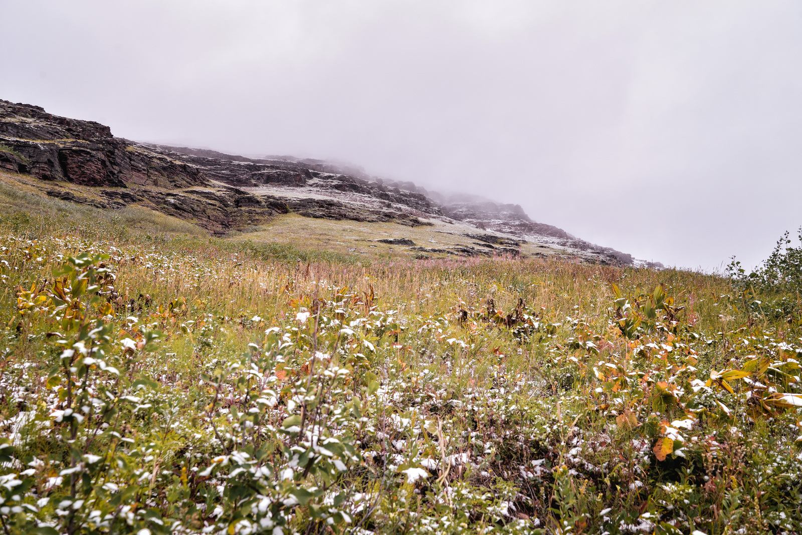 Prairie du Iceberg Lake Trail