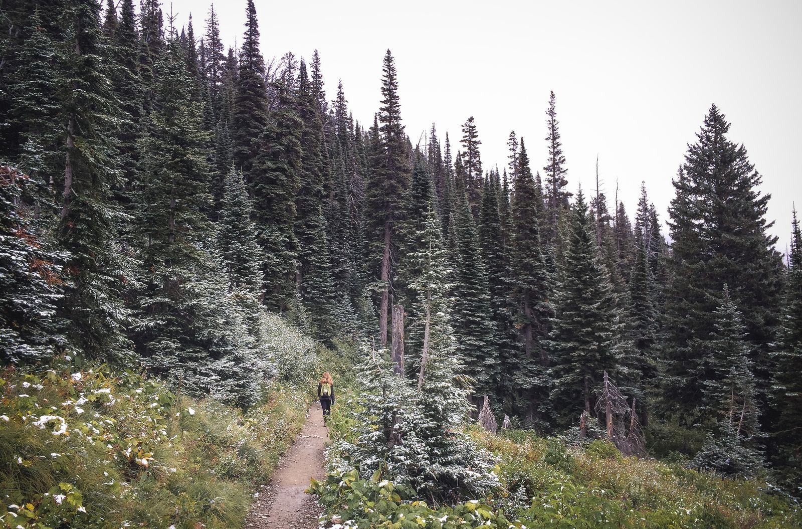 En route pour l'Iceberg Lake