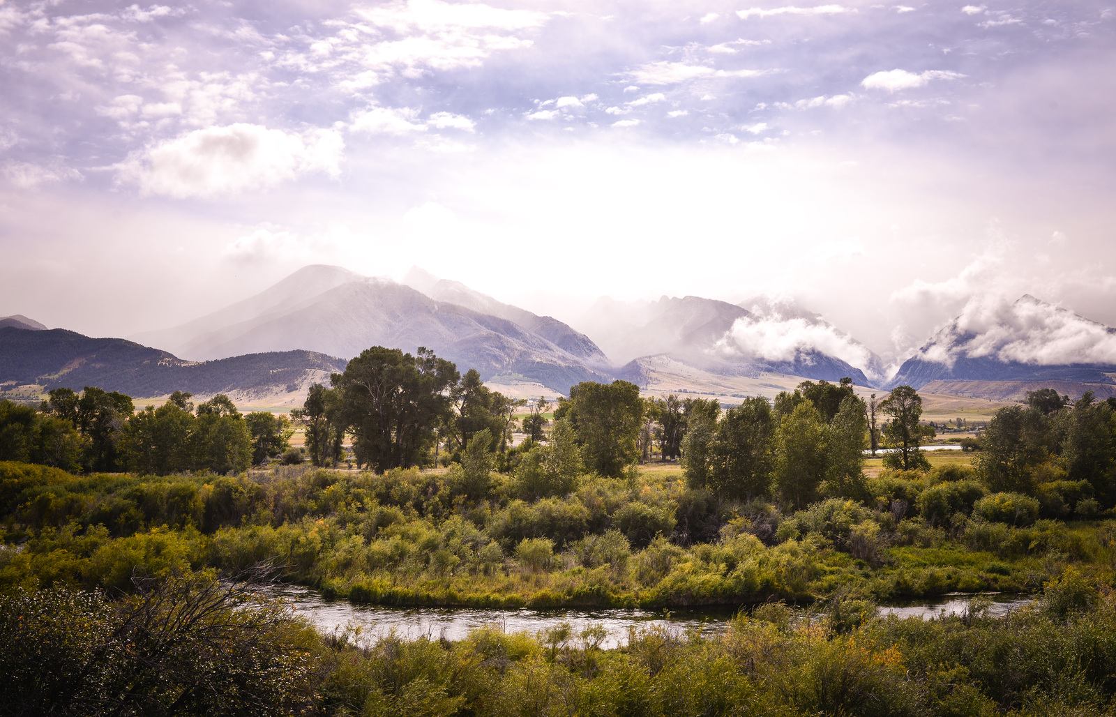 Sur la route pour aller à Yellowstone Sur la route pour aller à Yellowstone