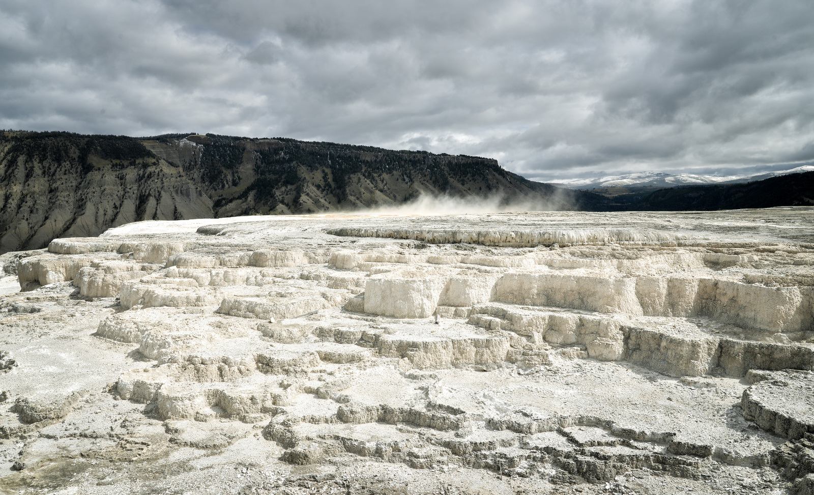 Lower Terrace Mammoth Hot Springs