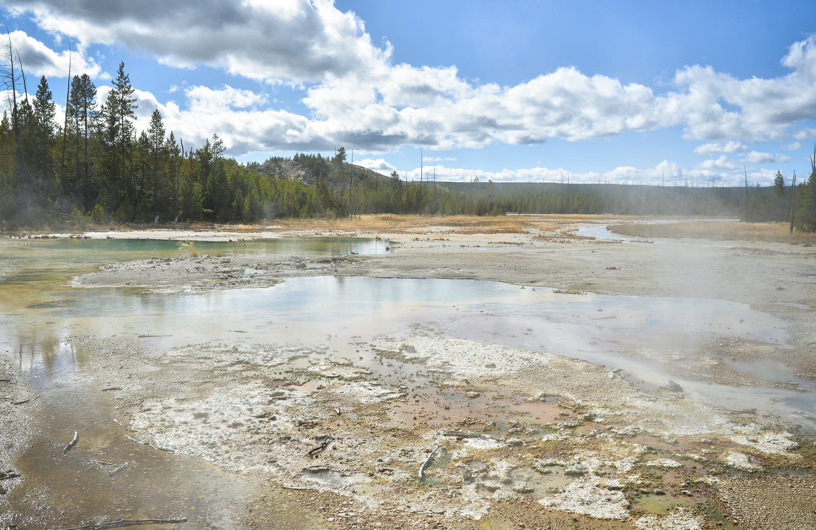 Fumerolles, Norris Geyser Basin