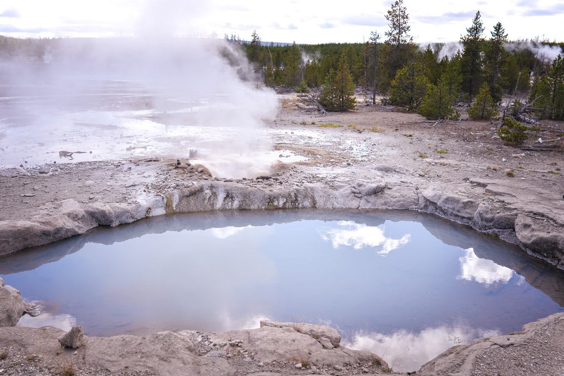 Sources d'eau chaude, Norris Geyser Basin