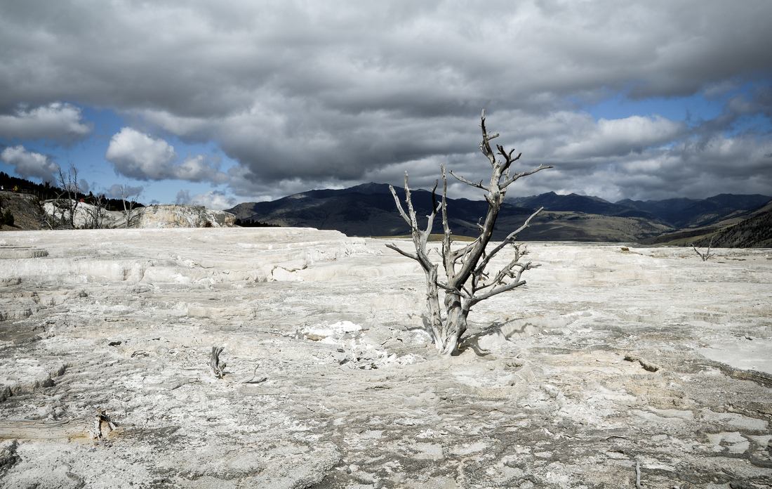 Solitude, Lower Terrace 