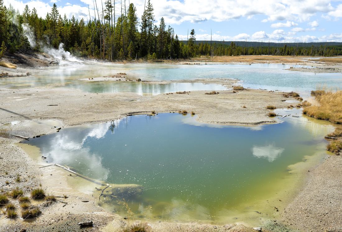 Bleue et jaune, Norris Geyser Basin