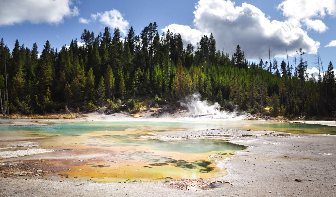 Porcelain Basin, Norris Geyser