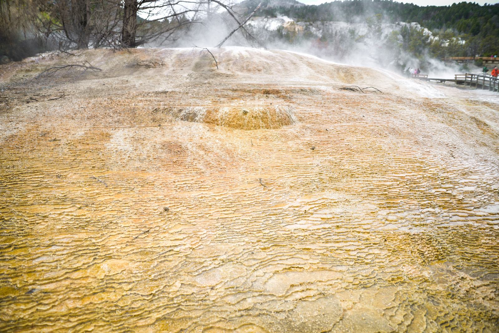 Cascade dorée Cascade dorée