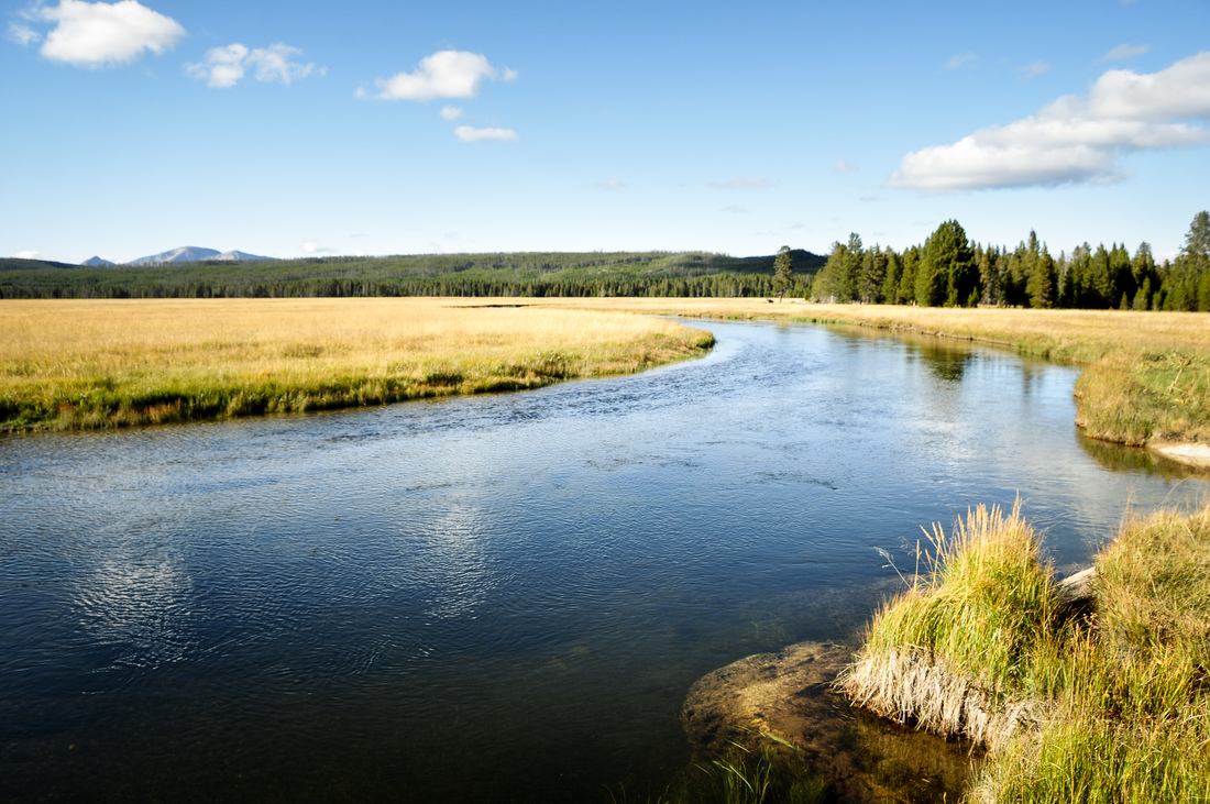 Le long de la Gibbon River