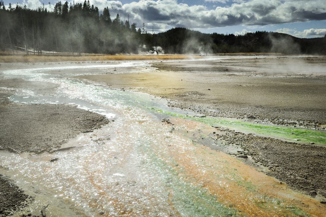 Festival de couleurs, Norris Geyser