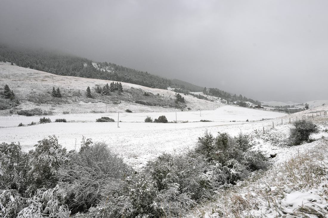 Highway 90 sous la neige