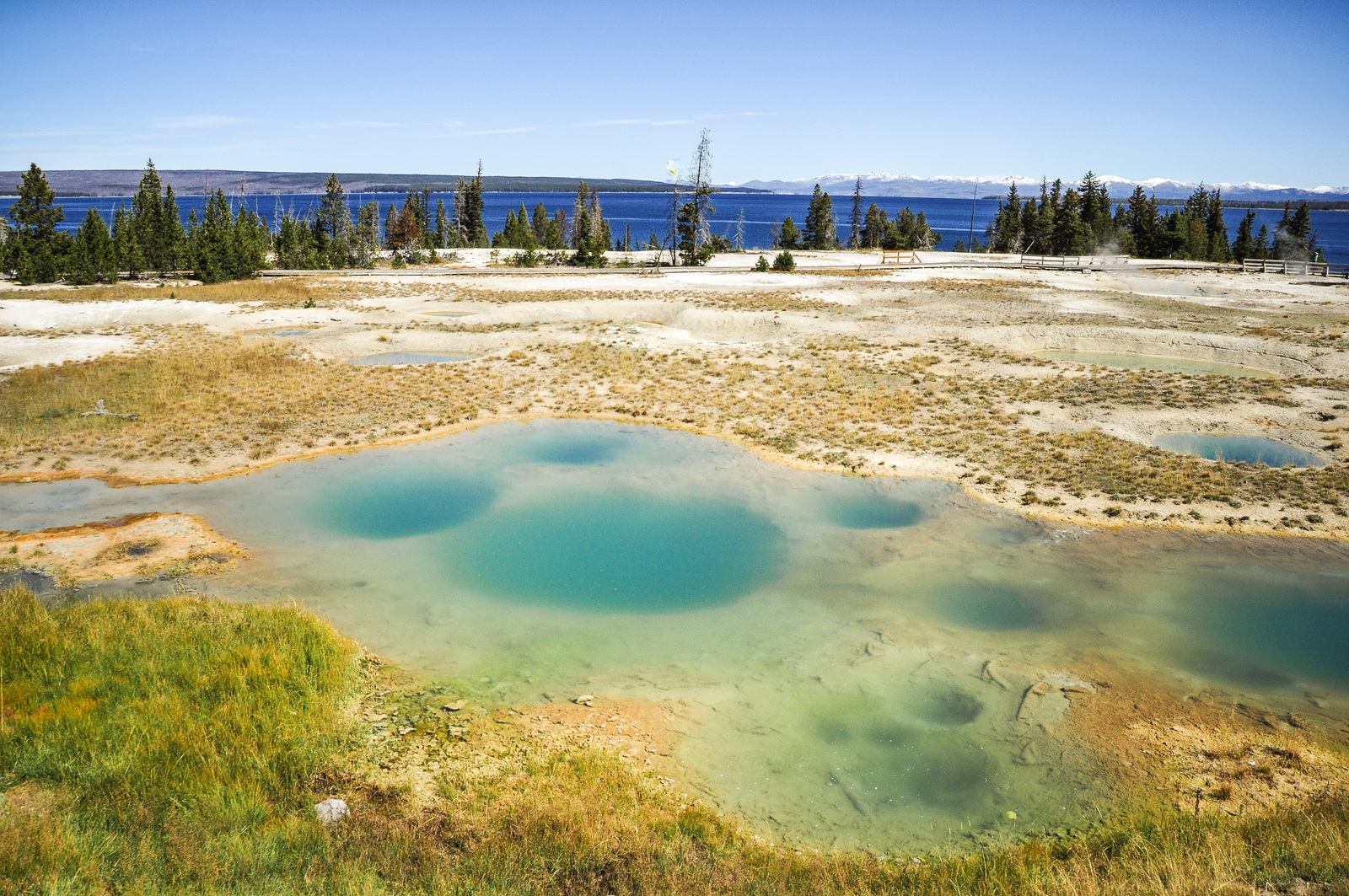 West Thumb geyser basin