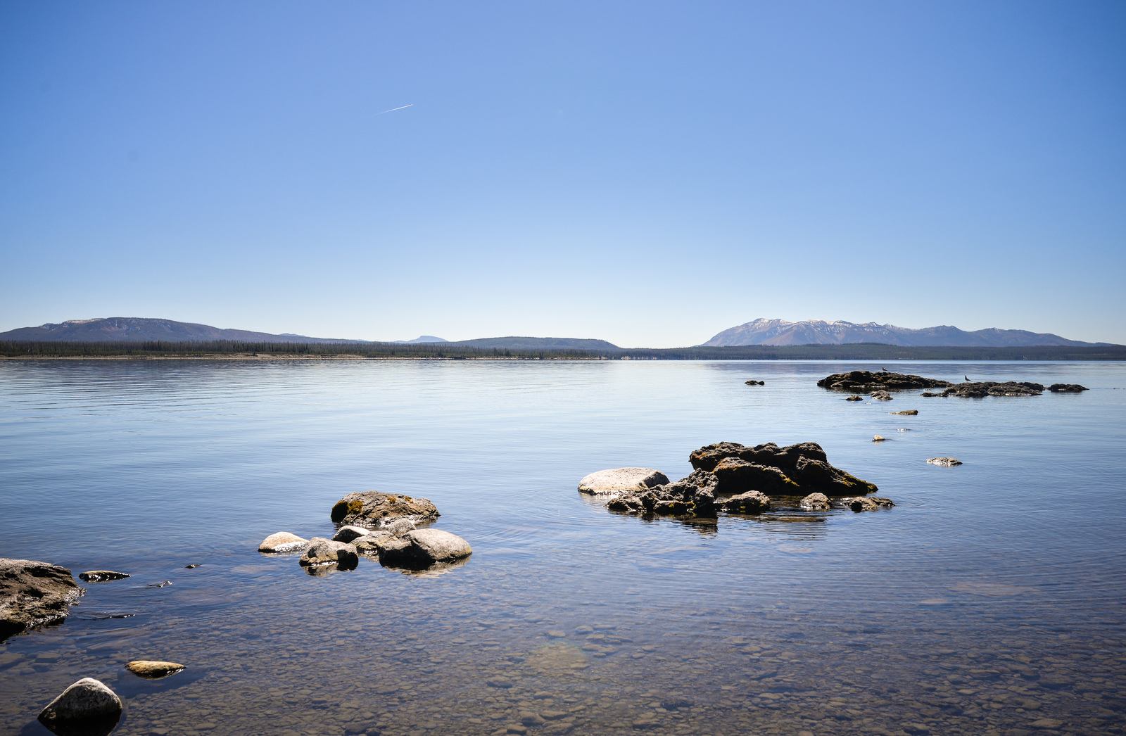 Vue sur le lac de Yellowstone