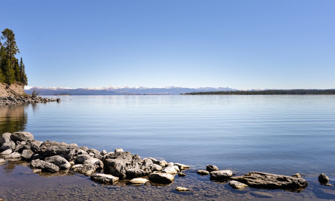 Pumice Point, Lac de Yellowstone