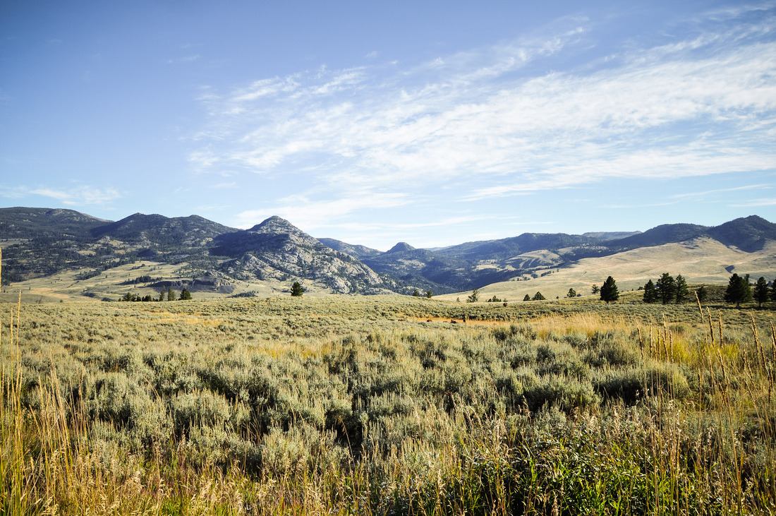 Crescent Hill à Yellowstone