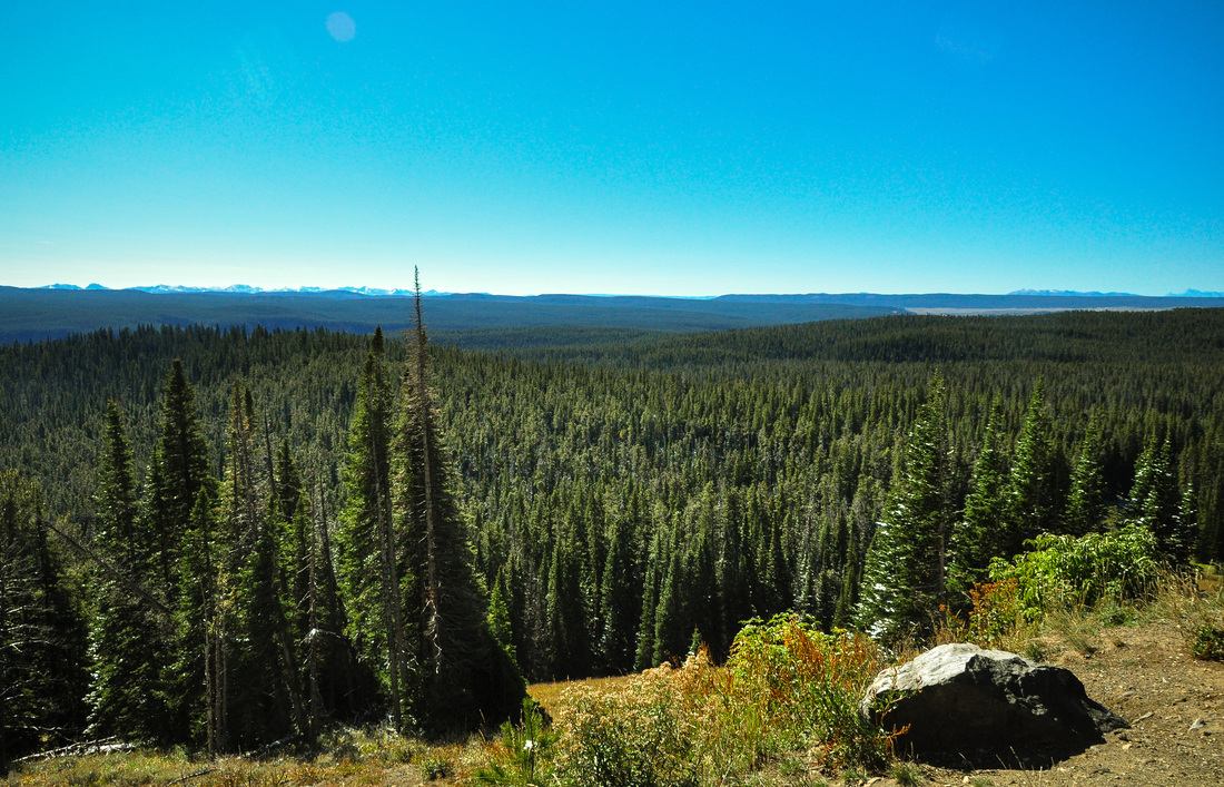Foret de Dunraven Pass