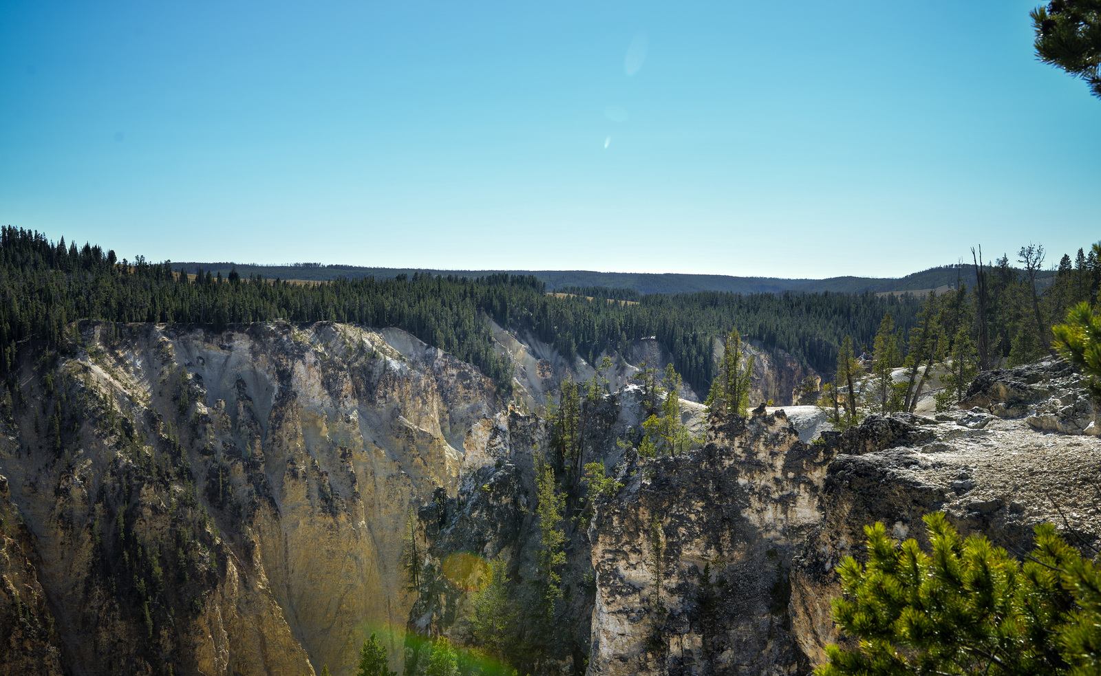 Canyon de Yellowstone depuis North Rim Drive