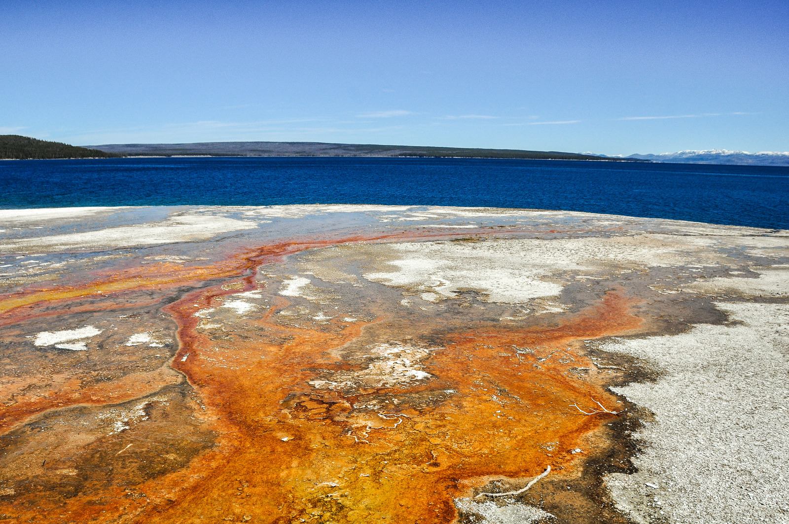 Black Pool, Yellowstone Lake