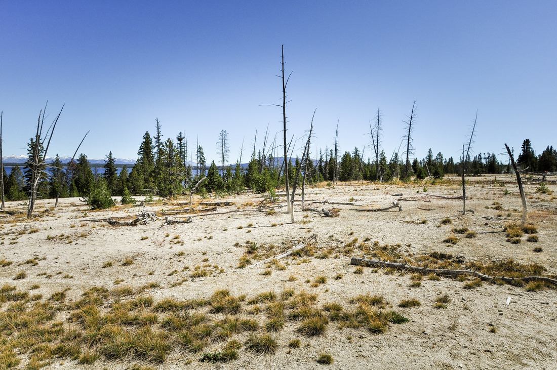Paysage désertique, West thumb
