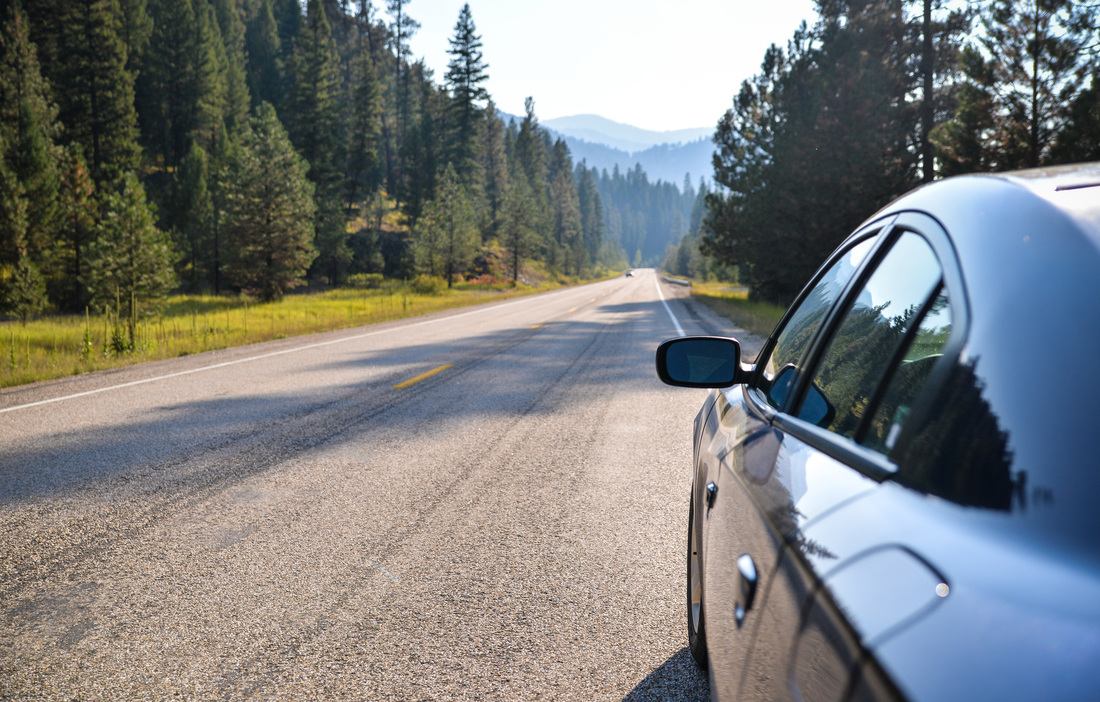 Ponderosa Pine scenic route