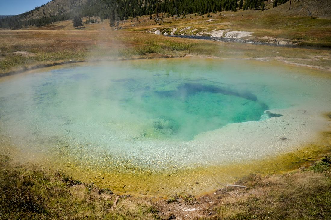 Lower geyser basin