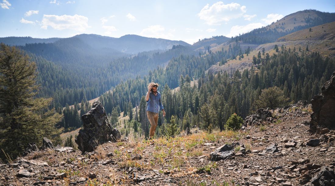 Paysages de l'Idaho autour de Galena