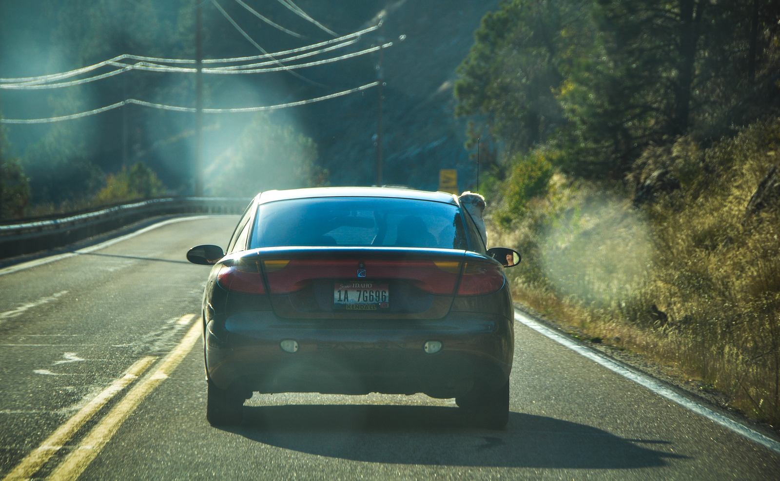 Le fameux chien vers Boise Forest