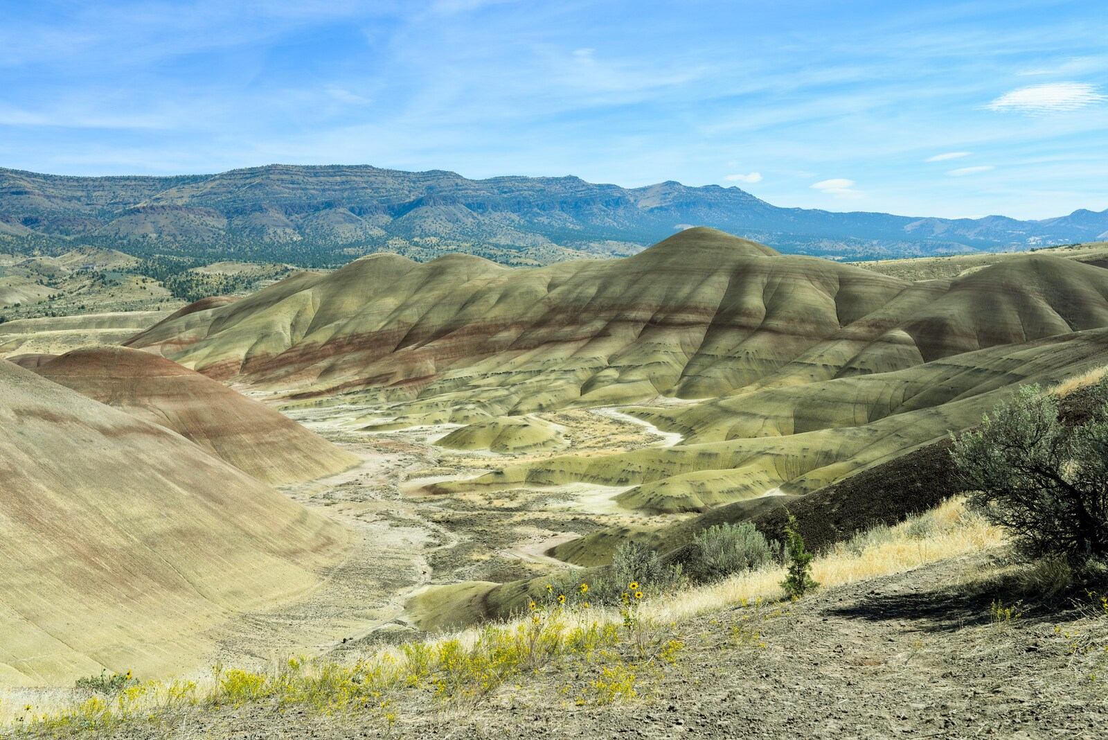 Panorama Painted Hils