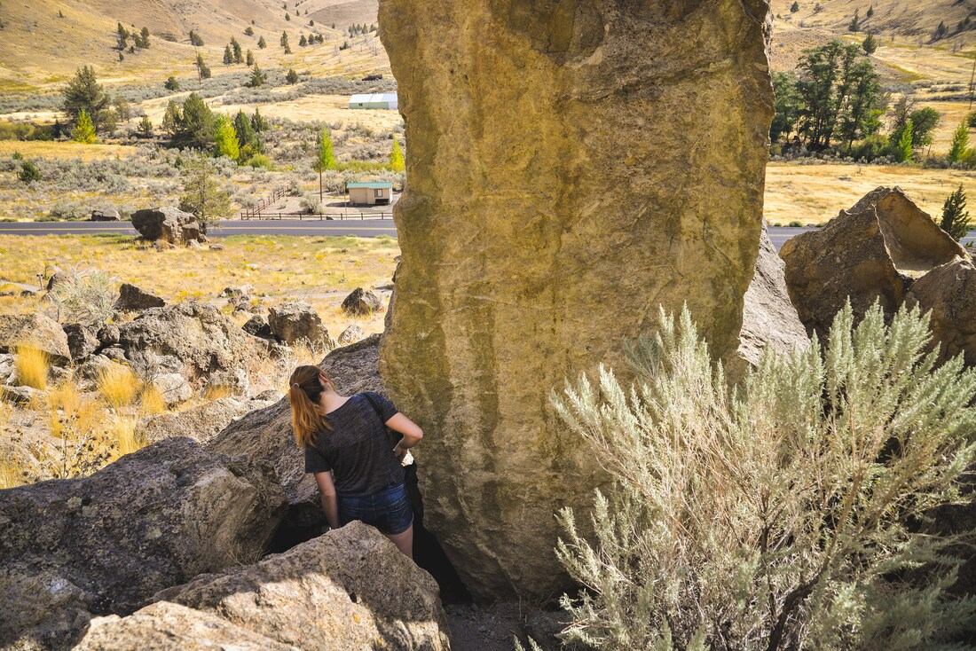 A la recherche de fossiles