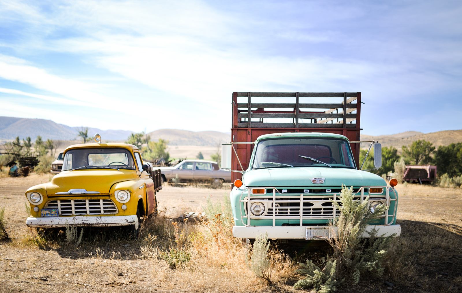 Cimetière de voiture aux USA
