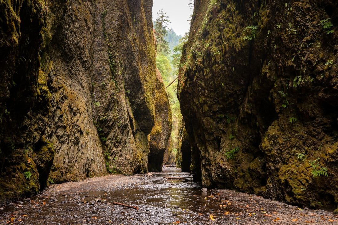 Entre les roches vers Oneonta Falls