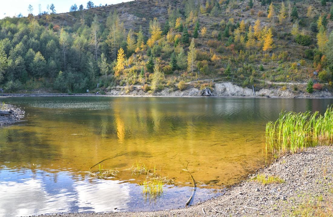 Rives de Coldwater Lake