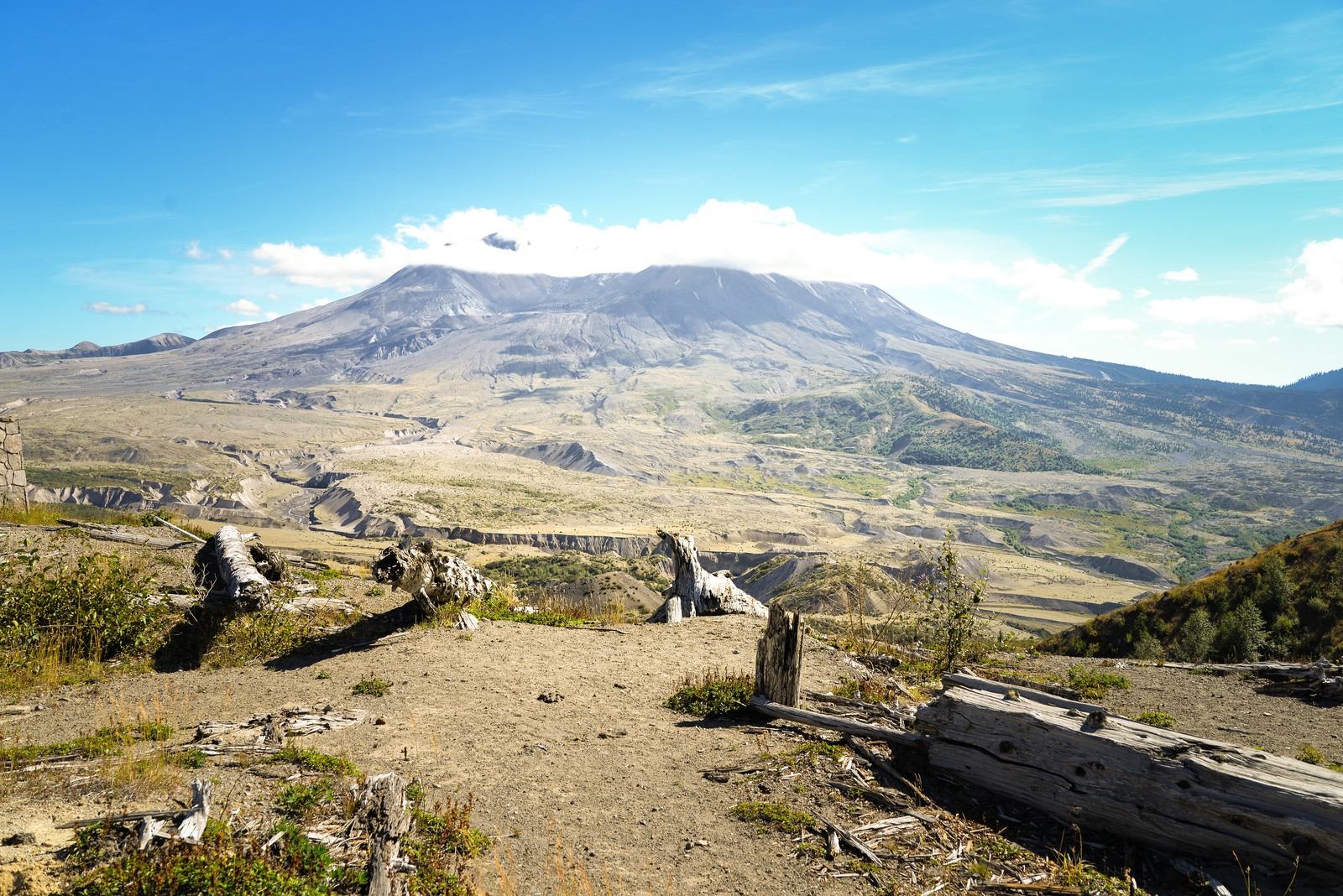 Vue sur le Mt St Helens
