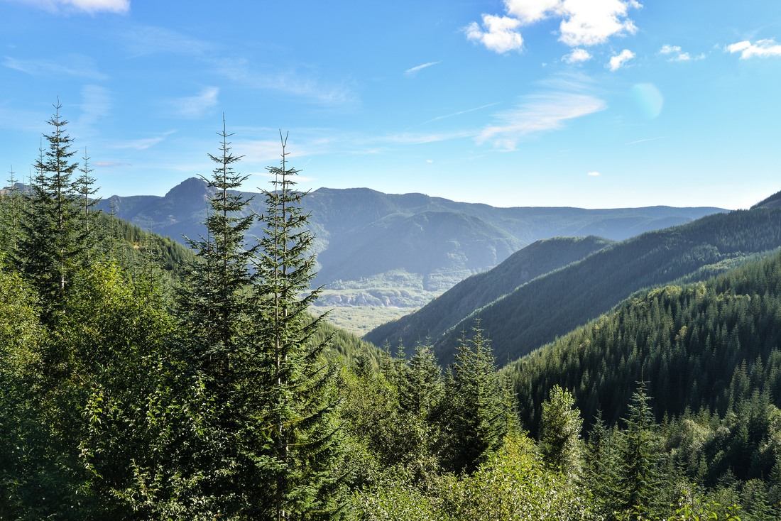Le long de Spirit Lake Highway