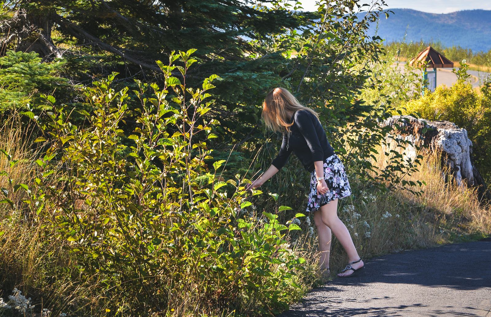 Observer la végétation