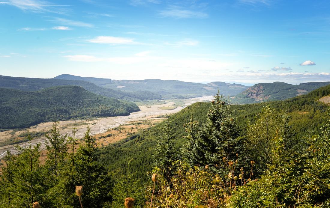 Le long de Bear Creek