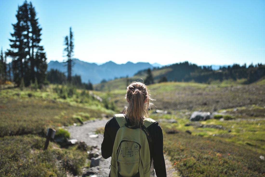 Sur la route du retour 