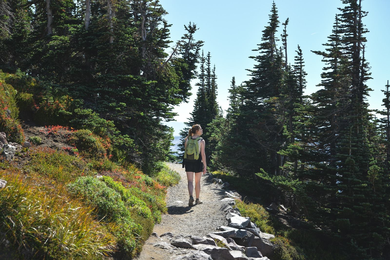 Sur le Skyline trail