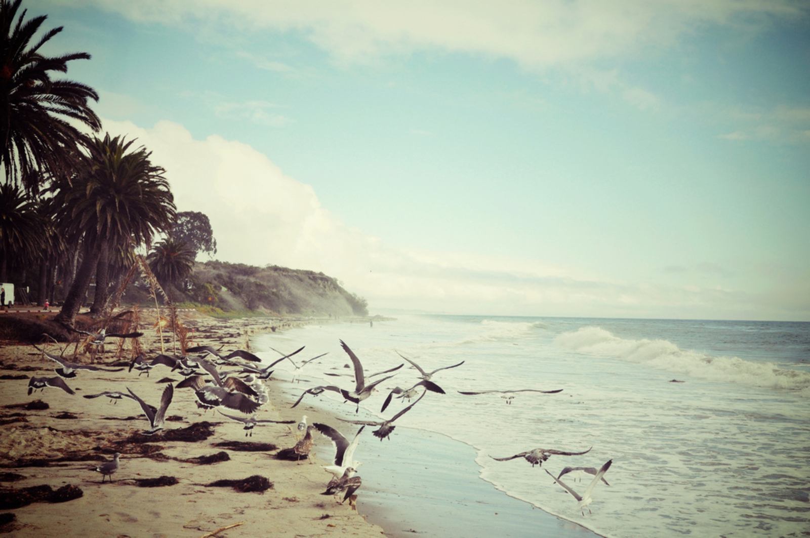 Plage de la Highway 1