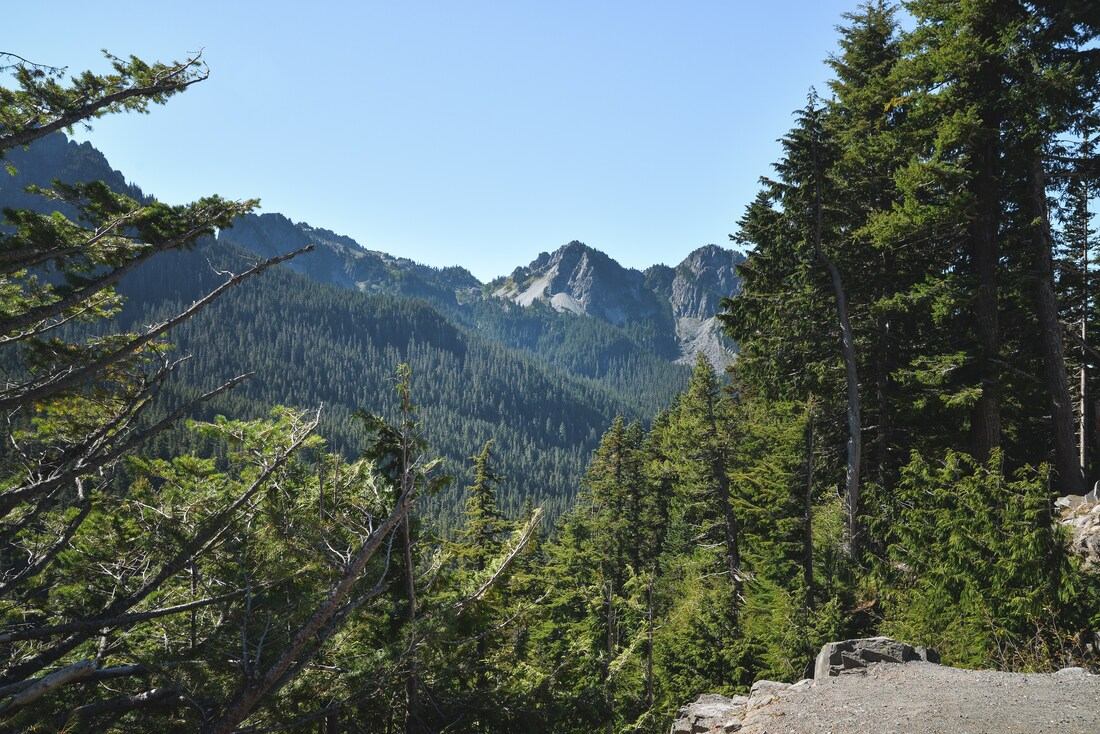 En route pour le trail