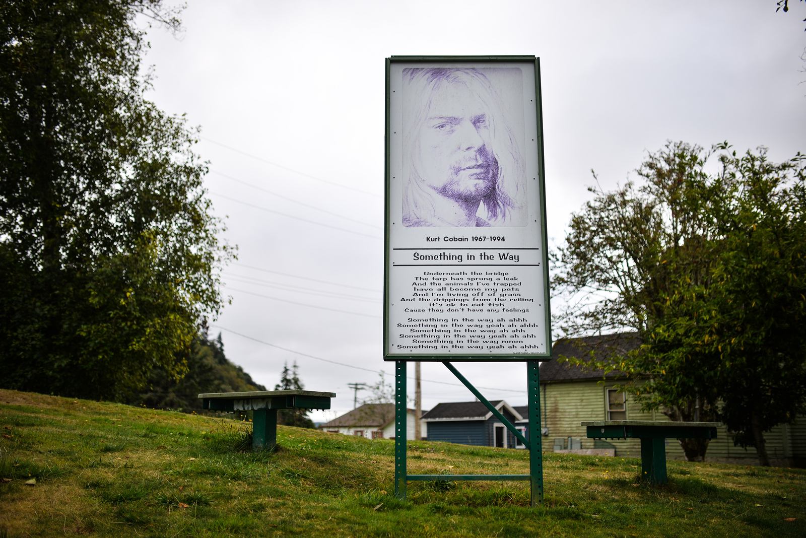 Something in the way